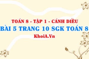 Bài 5 trang 10 SGK Toán 8 tập 1 Cánh Diều